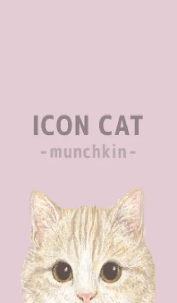 [LINE着せ替え] ICON CAT - マンチカン - PASTEL PK/03の画像1