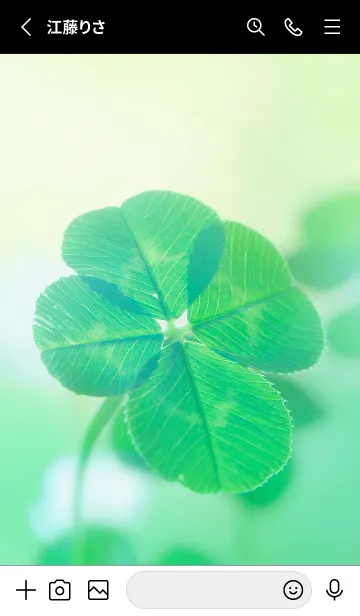 [LINE着せ替え] 本物ラッキークローバー 4-leaf #1-12の画像2