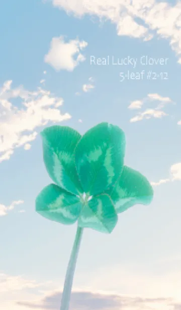 [LINE着せ替え] 本物ラッキークローバー 5-leaf #2-12の画像1