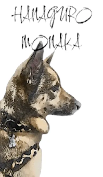 [LINE着せ替え] HANAGURO MONAKAの画像1