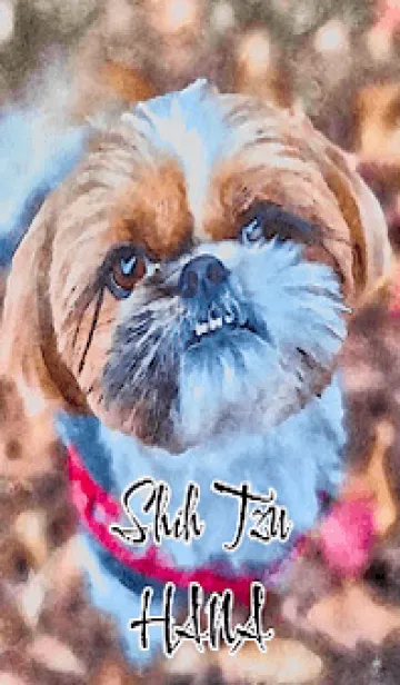 [LINE着せ替え] Shih Tzu HANAの画像1