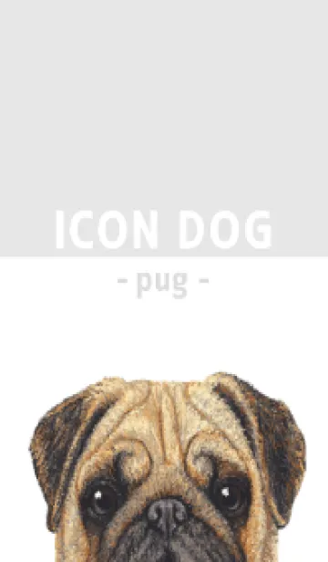 [LINE着せ替え] ICON DOG - パグ - GRAY/01の画像1