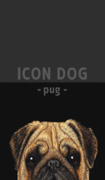 [LINE着せ替え] ICON DOG - パグ - BLACK/01の画像1