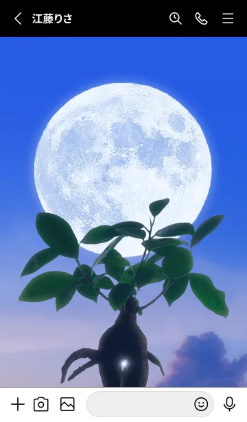 [LINE着せ替え] 多幸の木と満月 #1-29の画像2