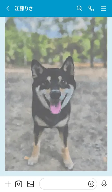 [LINE着せ替え] 黒柴 小藤の画像2