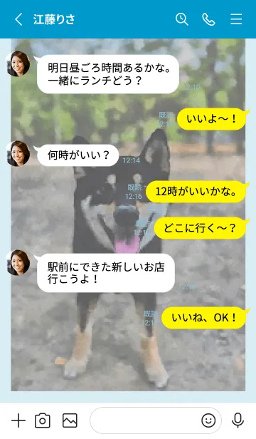 [LINE着せ替え] 黒柴 小藤の画像3