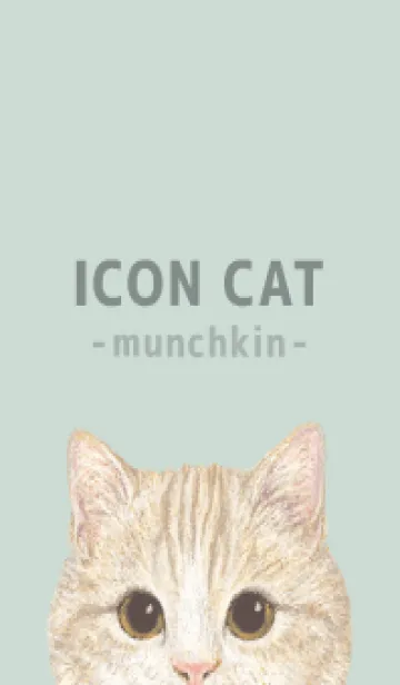 [LINE着せ替え] ICON CAT - マンチカン - PASTEL GR/03の画像1