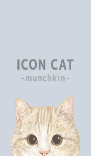 [LINE着せ替え] ICON CAT - マンチカン - PASTEL BL/03の画像1