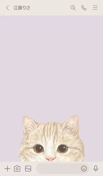 [LINE着せ替え] ICON CAT - マンチカン - PASTEL PL/03の画像2