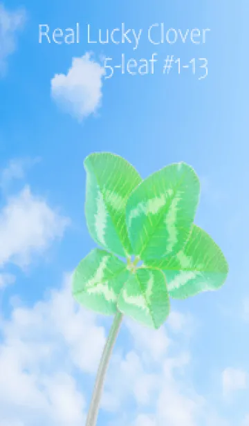 [LINE着せ替え] 本物ラッキークローバー 5-leaf #1-13の画像1