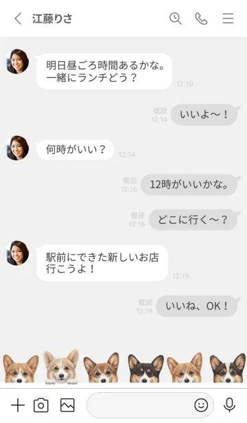 [LINE着せ替え] DOGS - コーギー01 - ホワイト/グレーの画像3