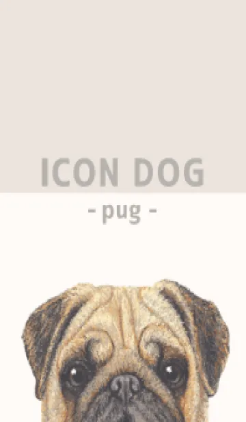 [LINE着せ替え] ICON DOG - パグ - BEIGE/01の画像1