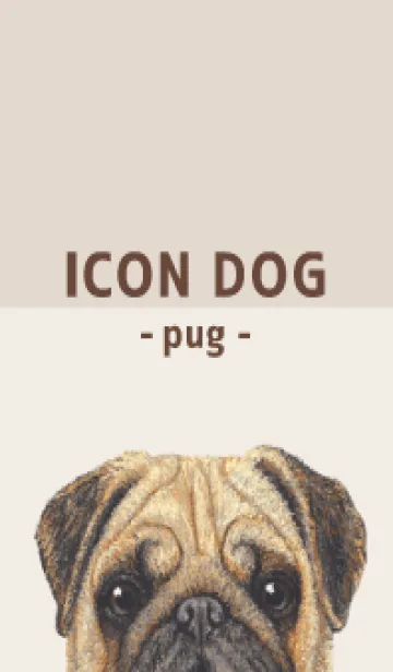 [LINE着せ替え] ICON DOG - パグ - BROWN/01の画像1