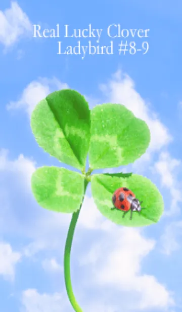 [LINE着せ替え] 四つ葉のクローバーとテントウムシ #8-9の画像1