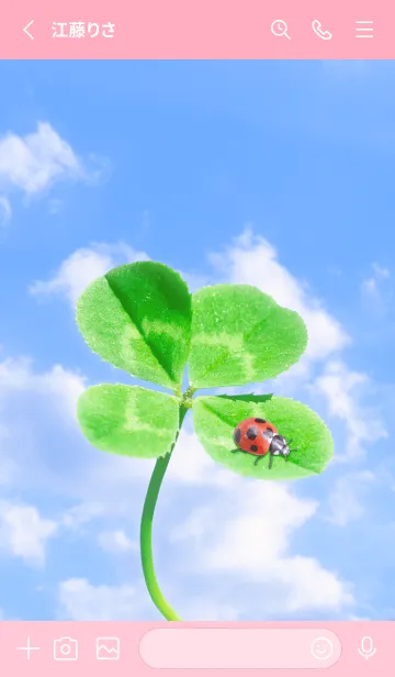 [LINE着せ替え] 四つ葉のクローバーとテントウムシ #8-9の画像2