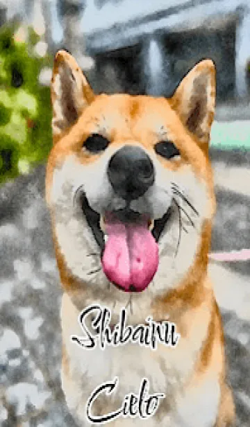 [LINE着せ替え] 柴犬 シエロの画像1