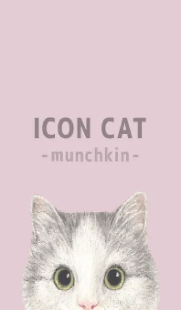 [LINE着せ替え] ICON CAT - マンチカン - PASTEL PK/04の画像1