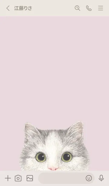 [LINE着せ替え] ICON CAT - マンチカン - PASTEL PK/04の画像2