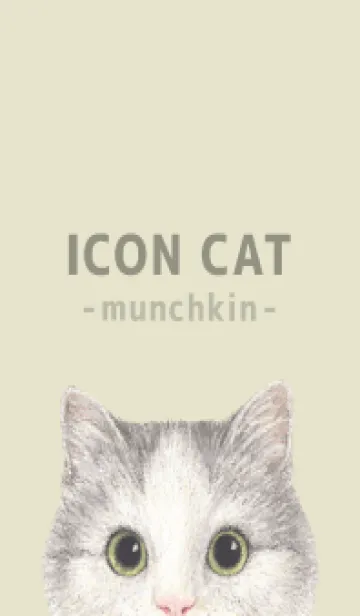 [LINE着せ替え] ICON CAT - マンチカン - PASTEL YE/04の画像1