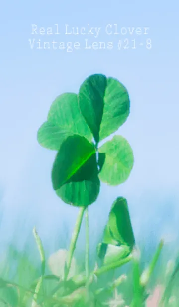 [LINE着せ替え] 四つ葉のクローバー Vintage Lens #21-8の画像1
