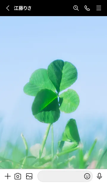 [LINE着せ替え] 四つ葉のクローバー Vintage Lens #21-8の画像2