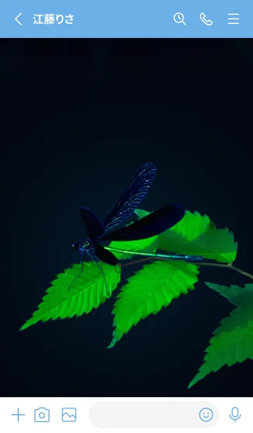 [LINE着せ替え] 吉兆 神様トンボ #2-2の画像2