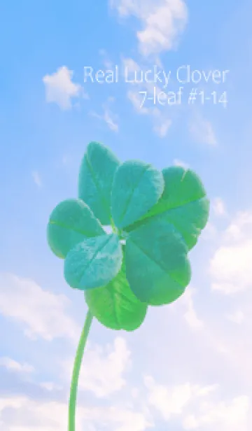 [LINE着せ替え] 本物ラッキークローバー 7-leaf #1-14の画像1