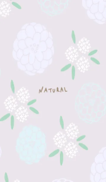 [LINE着せ替え] 沢山の丸い花30の画像1