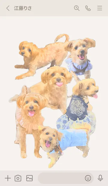 [LINE着せ替え] ミックス犬 てまりの画像2