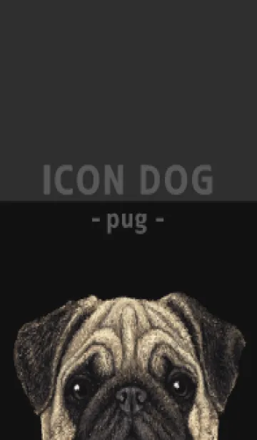 [LINE着せ替え] ICON DOG - パグ - BLACK/02の画像1