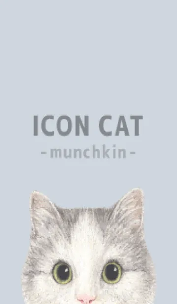 [LINE着せ替え] ICON CAT - マンチカン - PASTEL BL/04の画像1