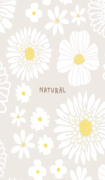 [LINE着せ替え] 色々な白い花6の画像1