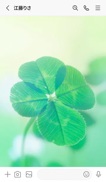 [LINE着せ替え] 本物ラッキークローバー 4-leaf #1-14の画像2