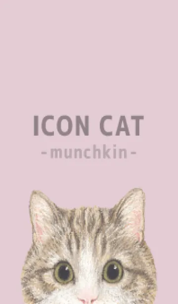 [LINE着せ替え] ICON CAT - マンチカン - PASTEL PK/05の画像1