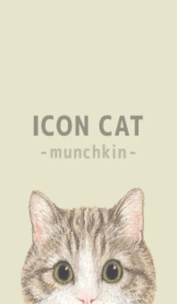 [LINE着せ替え] ICON CAT - マンチカン - PASTEL YE/05の画像1