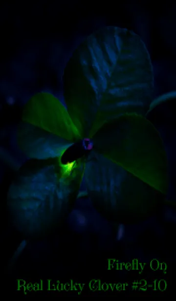 [LINE着せ替え] 蛍と四つ葉のクローバー #2-10の画像1
