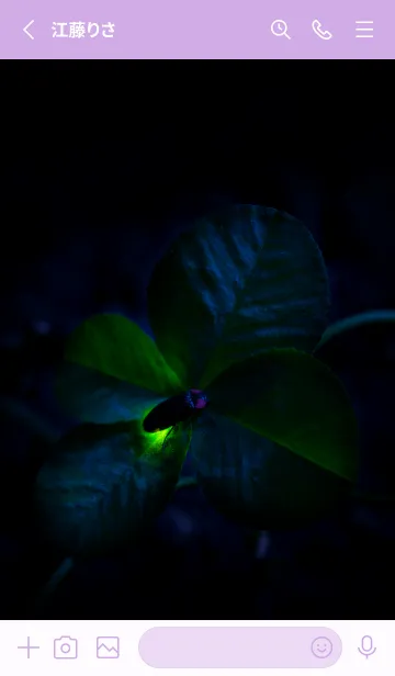 [LINE着せ替え] 蛍と四つ葉のクローバー #2-10の画像2