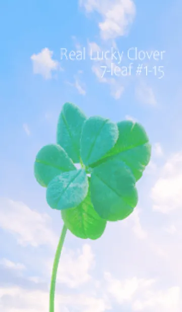 [LINE着せ替え] 本物ラッキークローバー 7-leaf #1-15の画像1