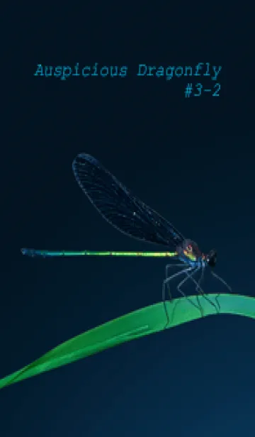 [LINE着せ替え] 吉兆 神様トンボ #3-2の画像1