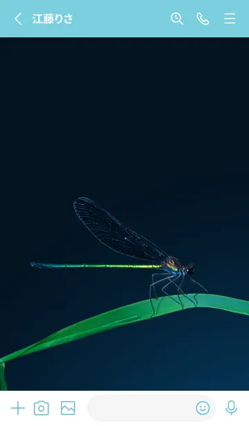 [LINE着せ替え] 吉兆 神様トンボ #3-2の画像2