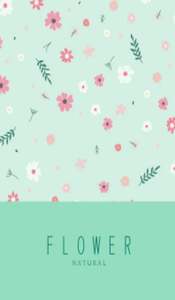 [LINE着せ替え] FLOWER MINT GREEN -NATURAL-11の画像1