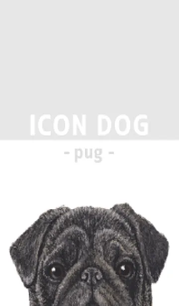 [LINE着せ替え] ICON DOG - パグ - GRAY/03の画像1