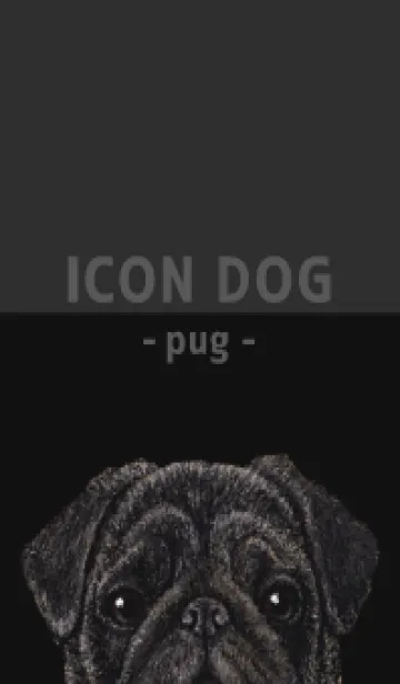 [LINE着せ替え] ICON DOG - パグ - BLACK/03の画像1