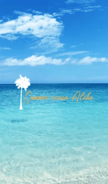 [LINE着せ替え] Summer ocean Aloha.94の画像1