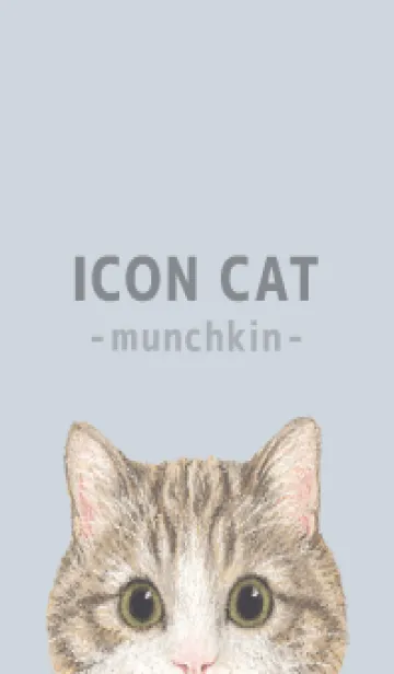 [LINE着せ替え] ICON CAT - マンチカン - PASTEL BL/05の画像1