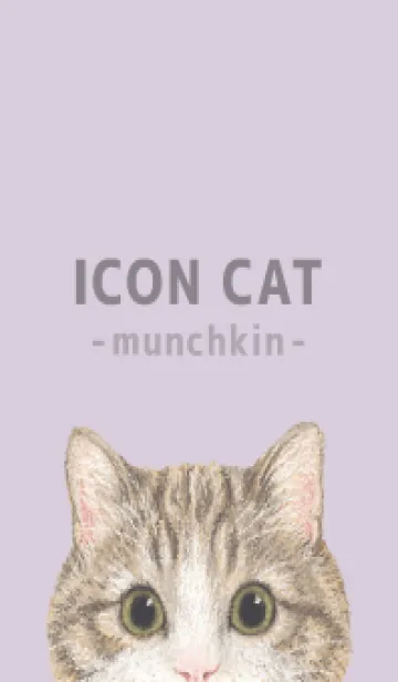 [LINE着せ替え] ICON CAT - マンチカン - PASTEL PL/05の画像1