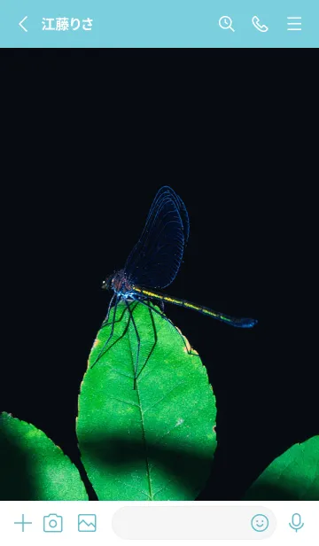 [LINE着せ替え] 吉兆 神様トンボ #4-2の画像2