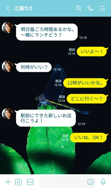 [LINE着せ替え] 吉兆 神様トンボ #4-2の画像3