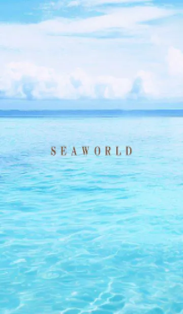 [LINE着せ替え] SEA WORLD-Hawaii 29の画像1