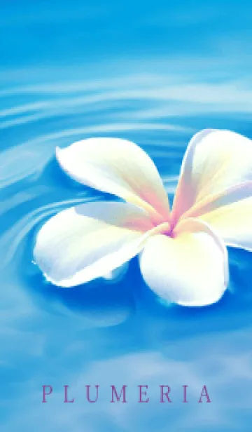 [LINE着せ替え] PLUMERIA-HAWAIIAN SEA-24の画像1